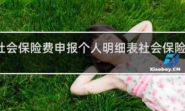 社会保险费申报个人明细表社会保险局给么