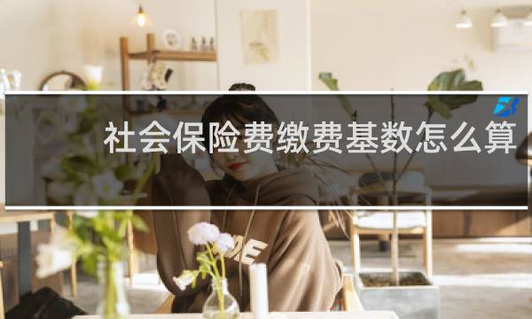 社会保险费缴费基数怎么算
