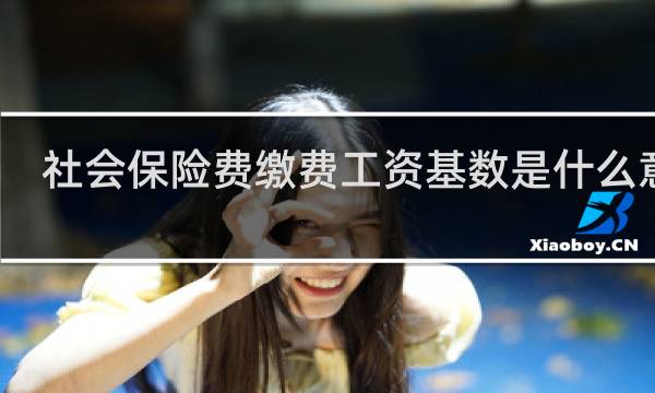 社会保险费缴费工资基数是什么意思