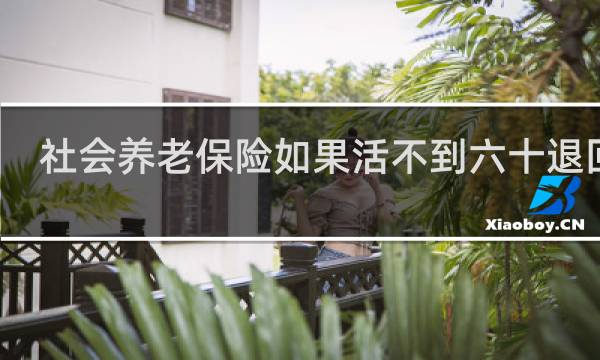 社会养老保险如果活不到六十退回吗
