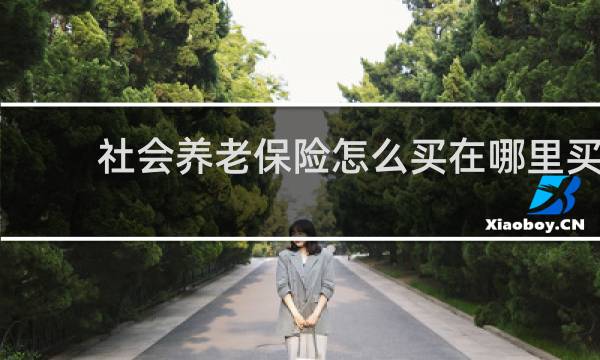 社会养老保险怎么买在哪里买
