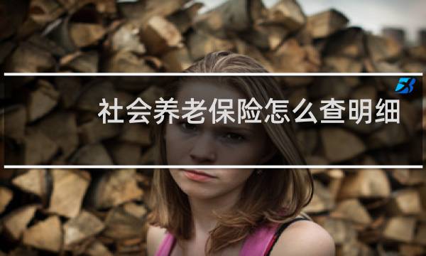 社会养老保险怎么查明细