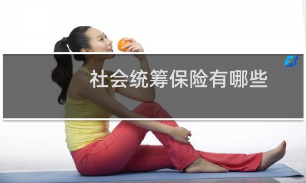 社会统筹保险有哪些