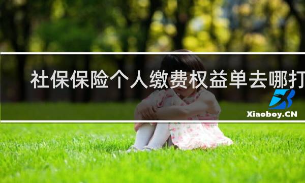 社保保险个人缴费权益单去哪打印