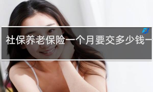 社保养老保险一个月要交多少钱一个月