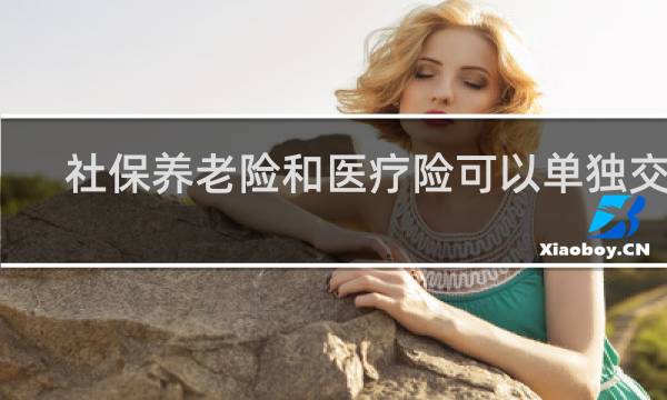 社保养老险和医疗险可以单独交吗