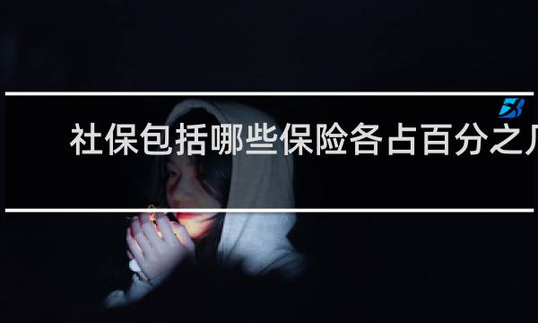 社保包括哪些保险各占百分之几