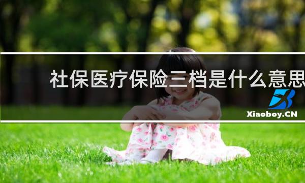 社保医疗保险三档是什么意思