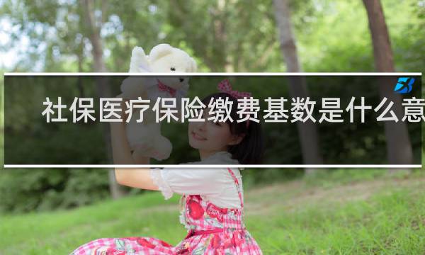 社保医疗保险缴费基数是什么意思