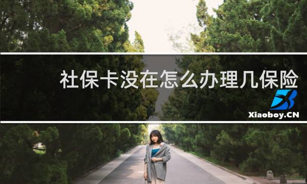 社保卡没在怎么办理几保险