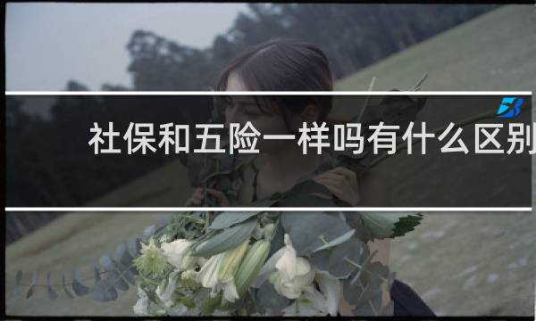 社保和五险一样吗有什么区别