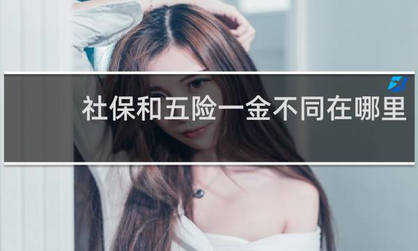 社保和五险一金不同在哪里
