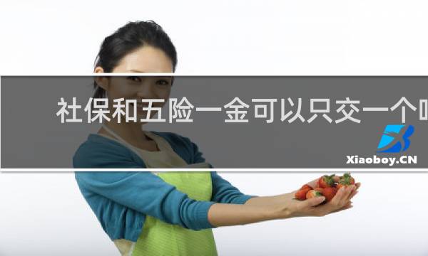 社保和五险一金可以只交一个吗