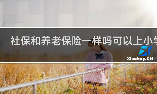 社保和养老保险一样吗可以上小学吗