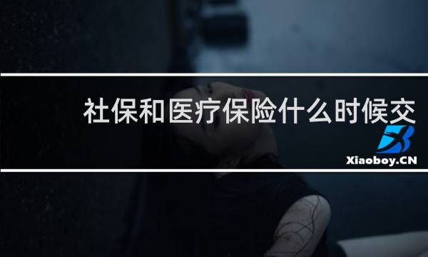 社保和医疗保险什么时候交