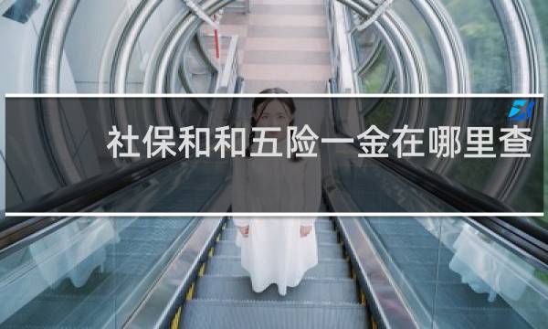 社保和和五险一金在哪里查