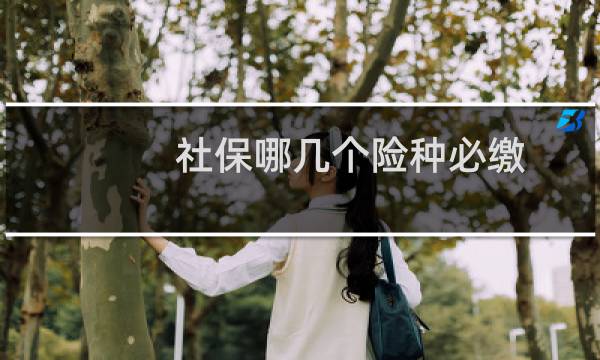 社保哪几个险种必缴