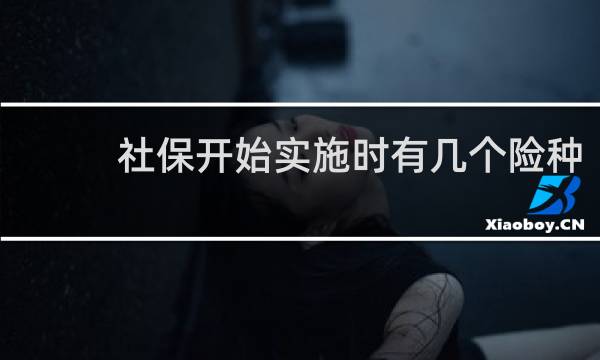 社保开始实施时有几个险种