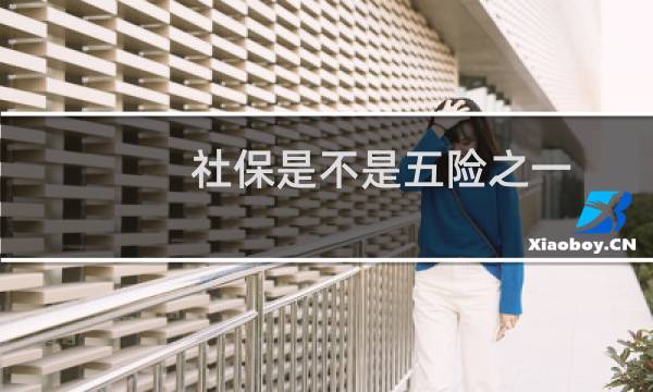 社保是不是五险之一