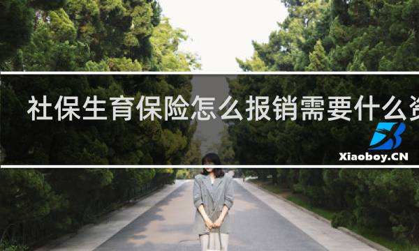 社保生育保险怎么报销需要什么资料