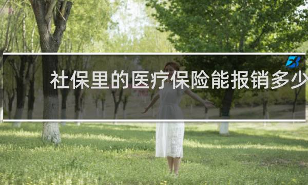 社保里的医疗保险能报销多少
