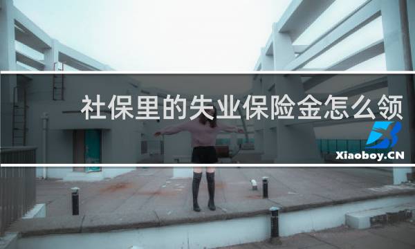 社保里的失业保险金怎么领