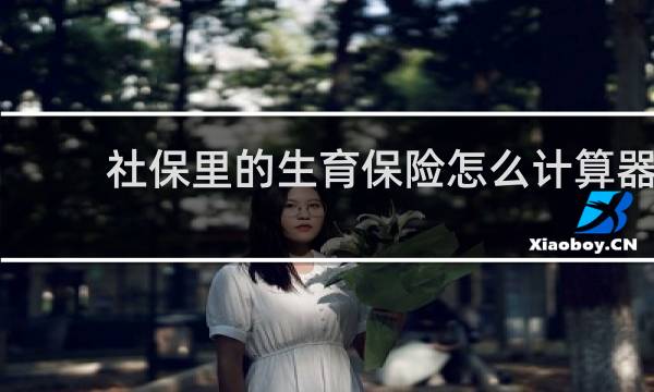 社保里的生育保险怎么计算器