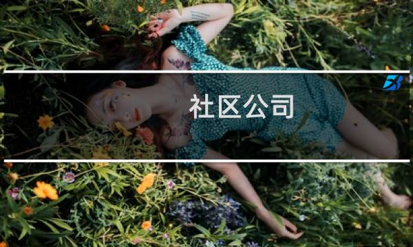 社区公司 攻略