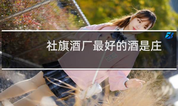 社旗酒厂最好的酒是庄