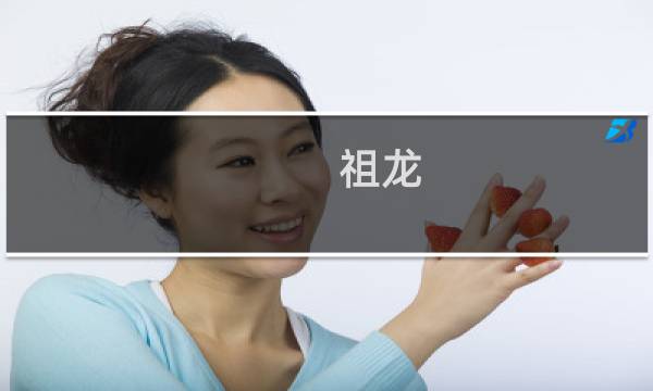 祖龙 攻略
