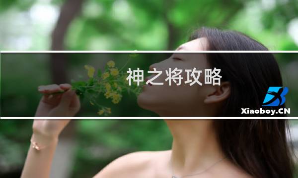 神之将攻略