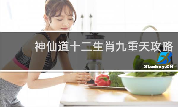 神仙道十二生肖九重天攻略