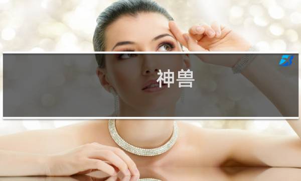 神兽 鸟 攻略