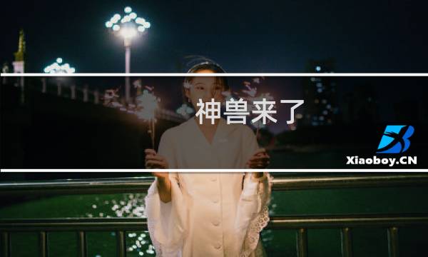 神兽来了 攻略