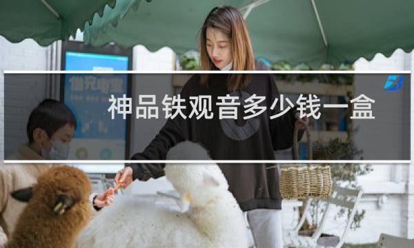 神品铁观音多少钱一盒