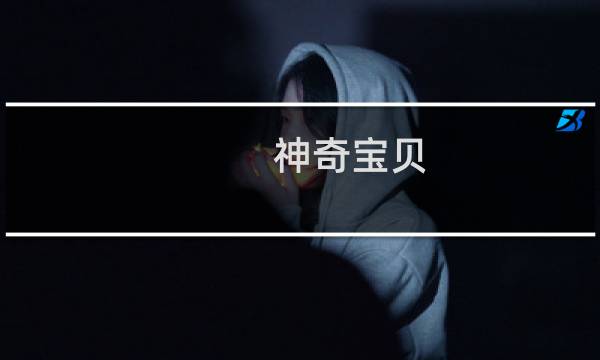 神奇宝贝 黑 攻略