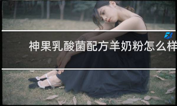 神果乳酸菌配方羊奶粉怎么样