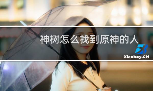 神树怎么找到原神的人