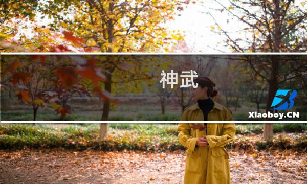 神武 杀生肖攻略