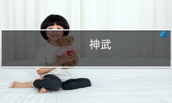 神武 wz攻略