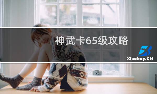 神武卡65级攻略