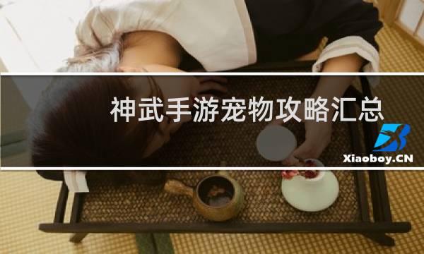 神武手游宠物攻略汇总