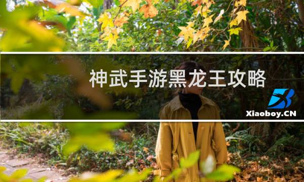 神武手游黑龙王攻略