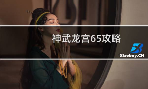 神武龙宫65攻略