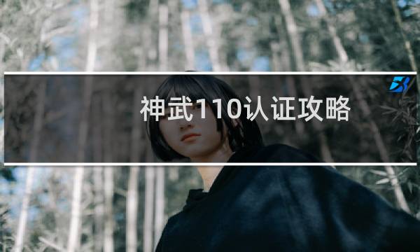 神武110认证攻略