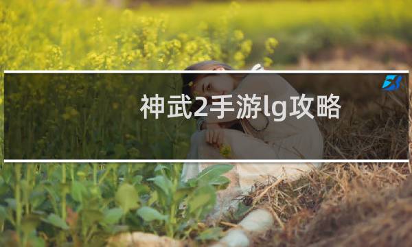神武2手游lg攻略