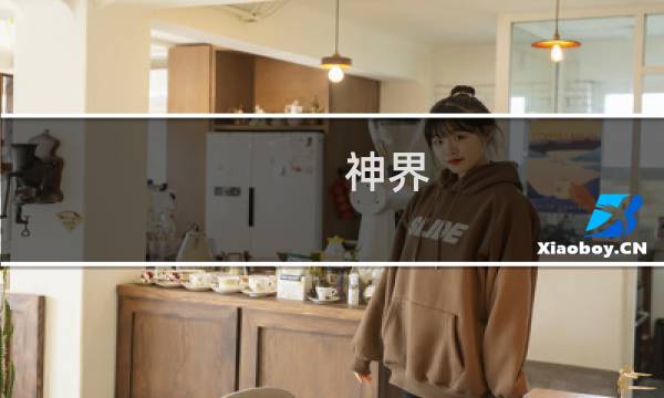 神界 攻略