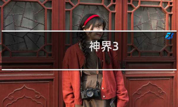 神界3 攻略电子