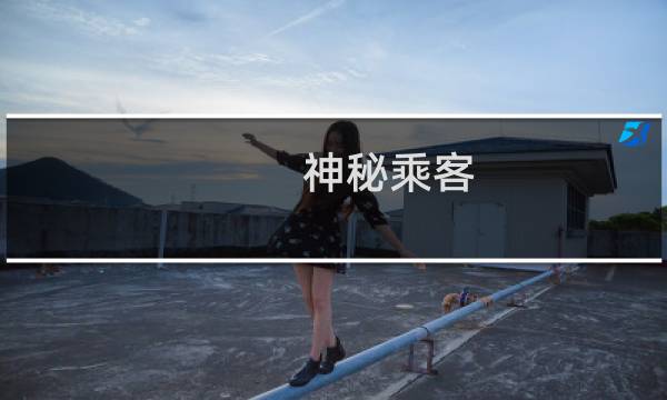 神秘乘客 攻略