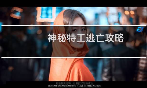 神秘特工逃亡攻略